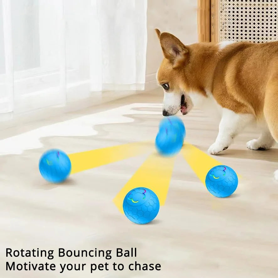 Viral Smart LED Motion Dog Ball — Automatic Rolling Interactive Toy
