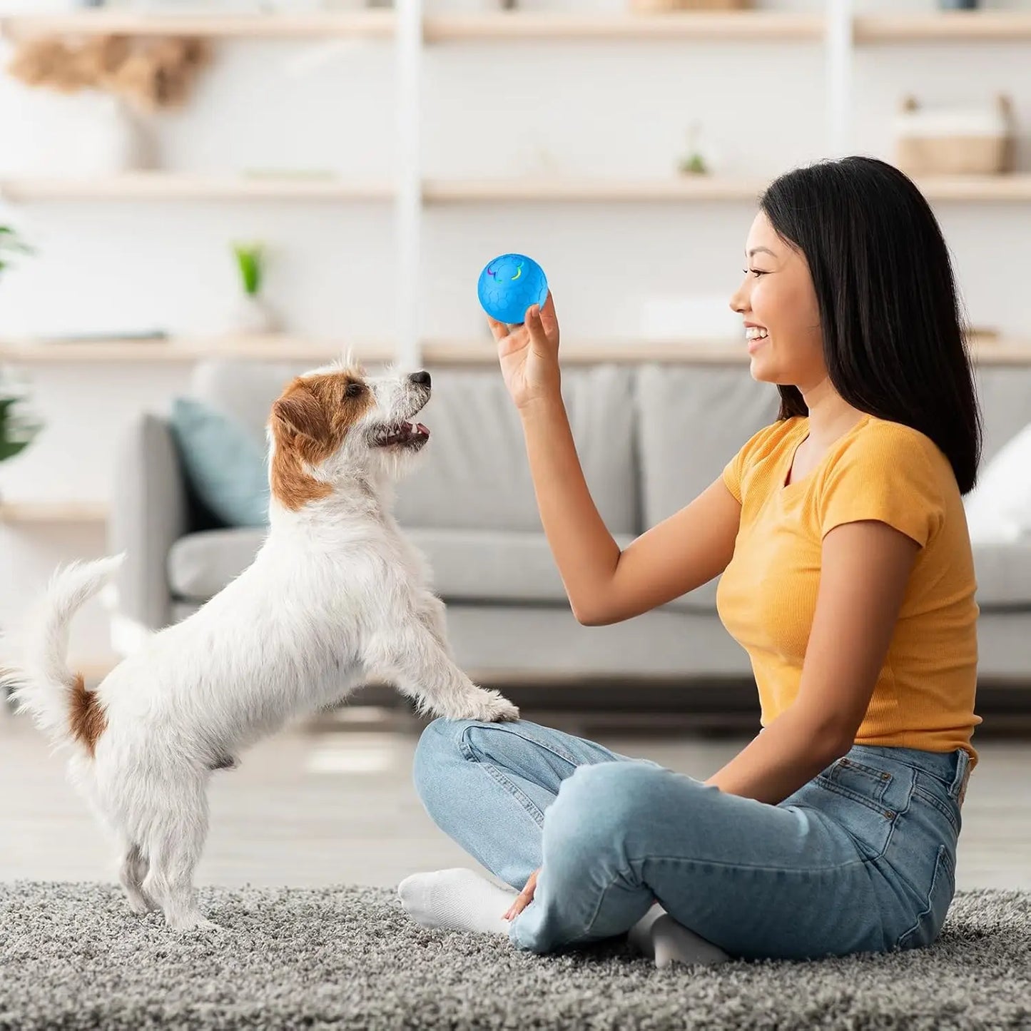 Viral Smart LED Motion Dog Ball — Automatic Rolling Interactive Toy
