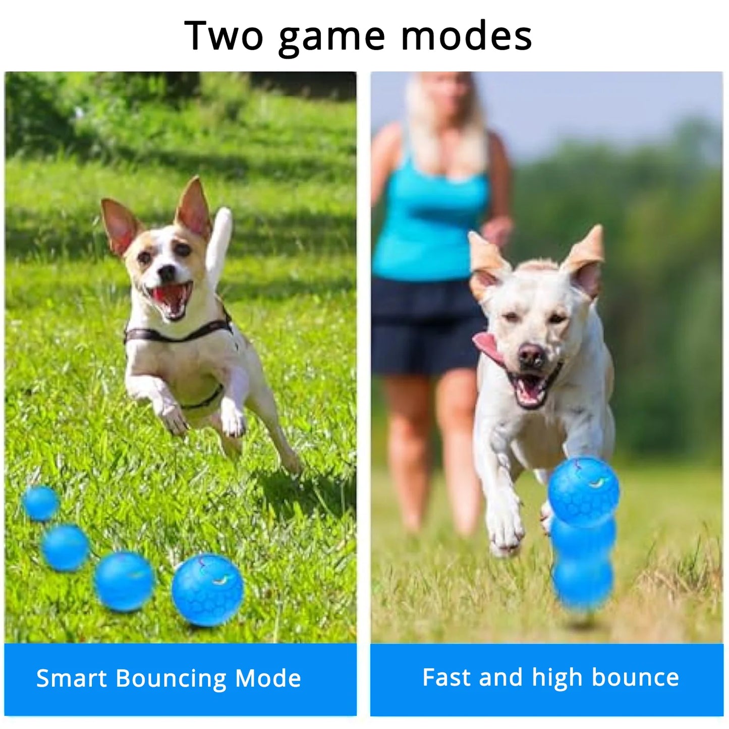 Viral Smart LED Motion Dog Ball — Automatic Rolling Interactive Toy